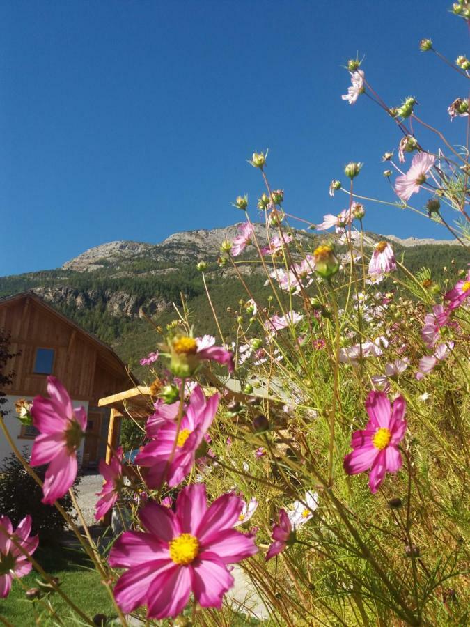 Chambres D'Hote Le Brin De Paille Saint-Martin-de-Queyrières 外观 照片